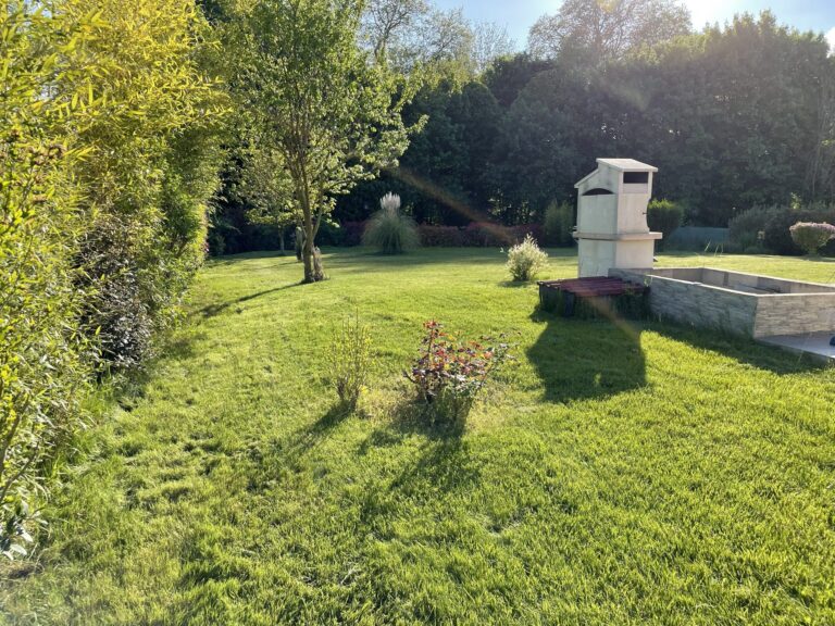 Jardin avec pelouse tondue et haie de bambous entretenue